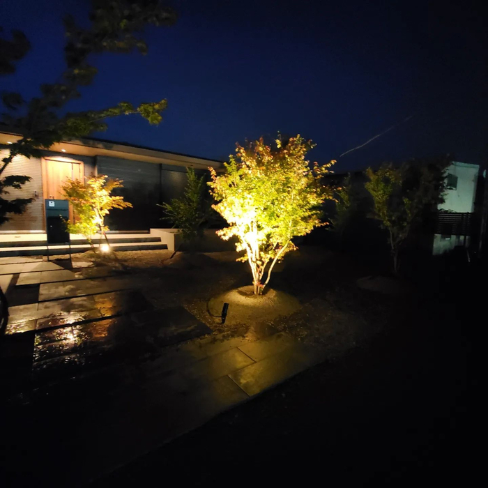 画像1049