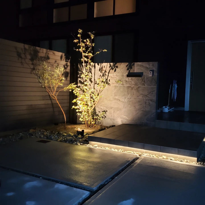 画像1149