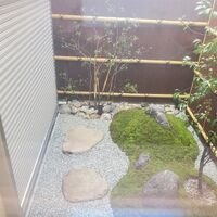 画像263