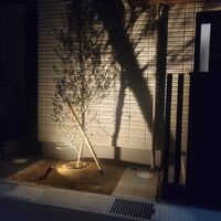 画像316