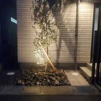 画像343