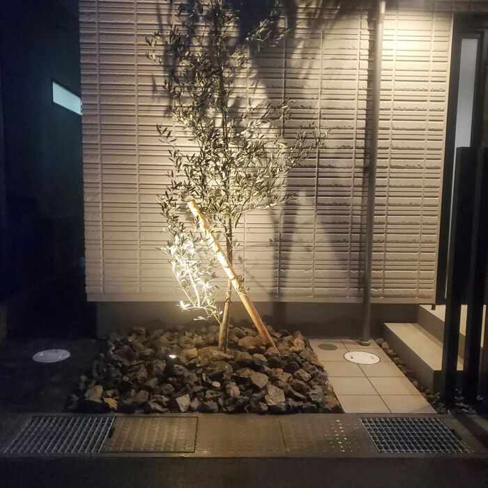 画像343