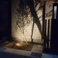 画像345