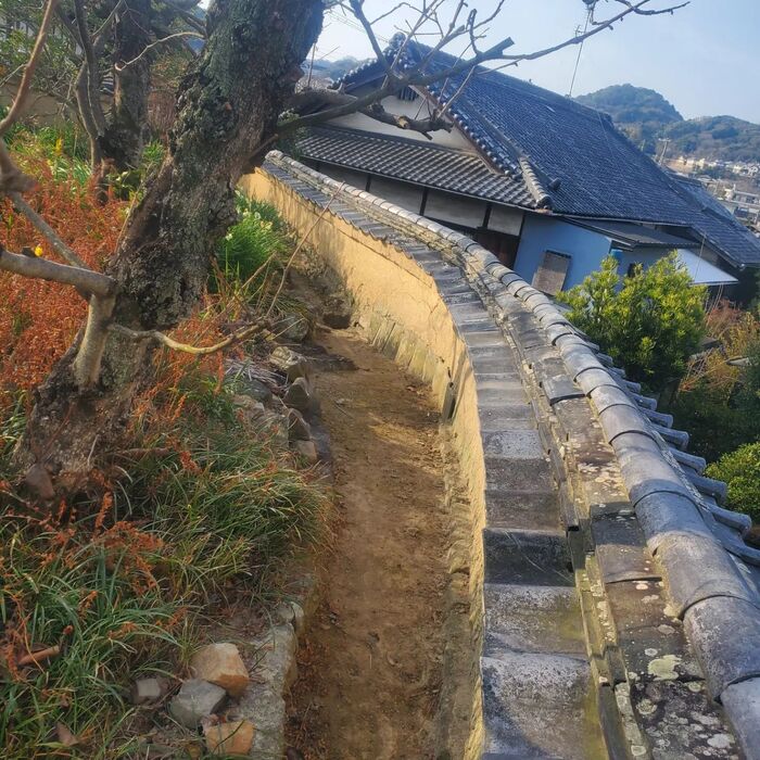 画像408