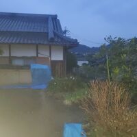 画像431