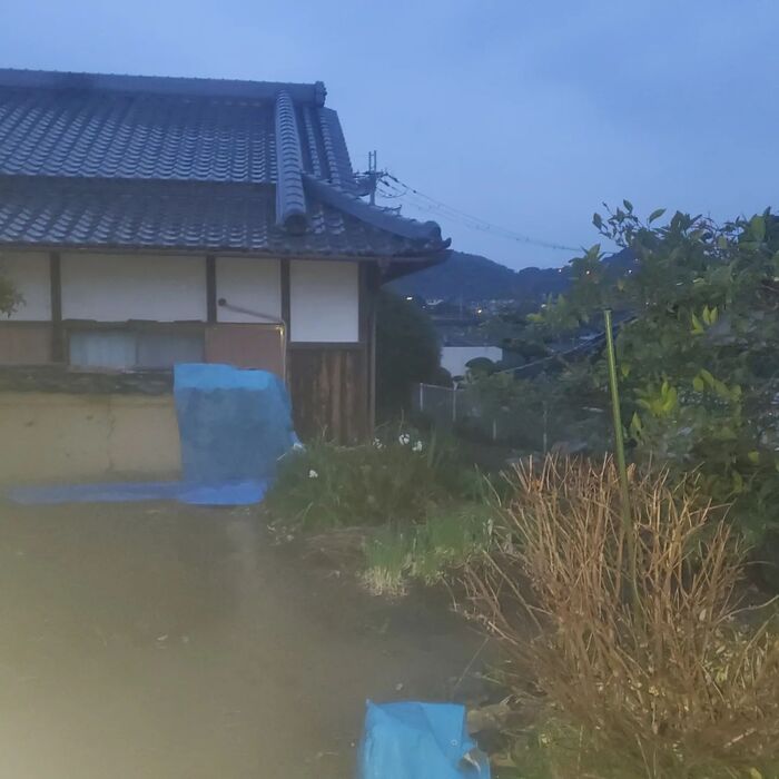 画像431