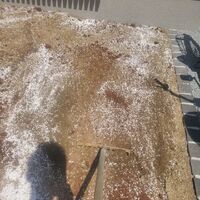 画像500