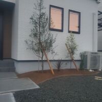 画像521