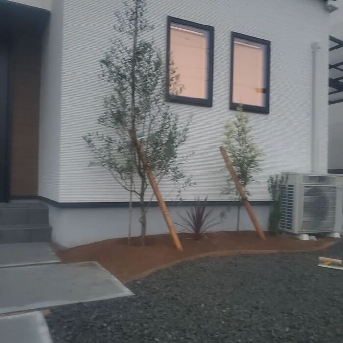画像521