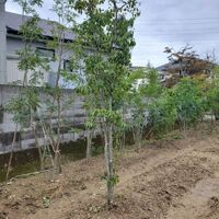 画像813