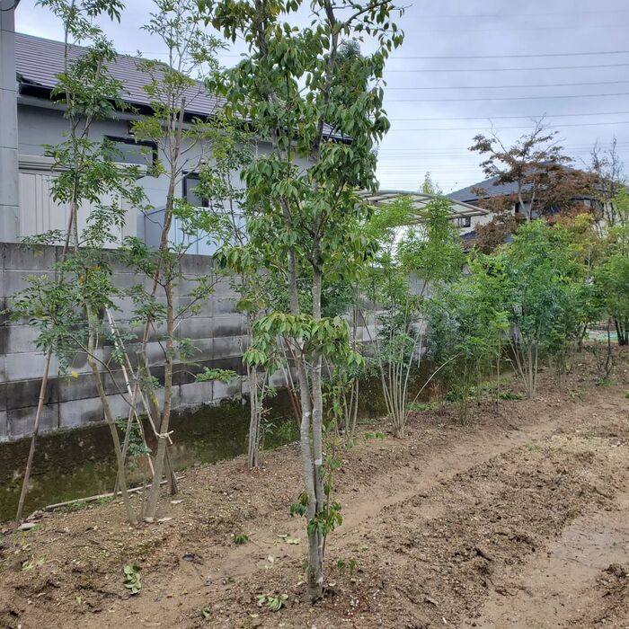 画像813