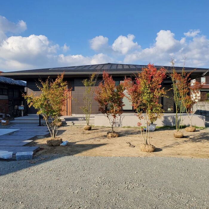 画像858