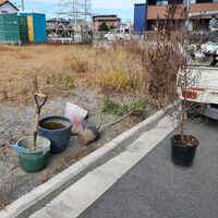 画像872