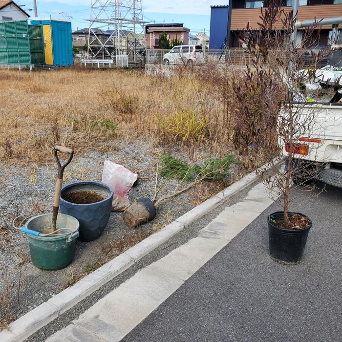 画像872
