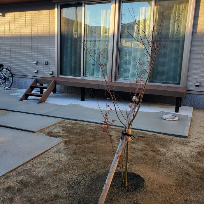 画像876