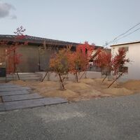 画像887