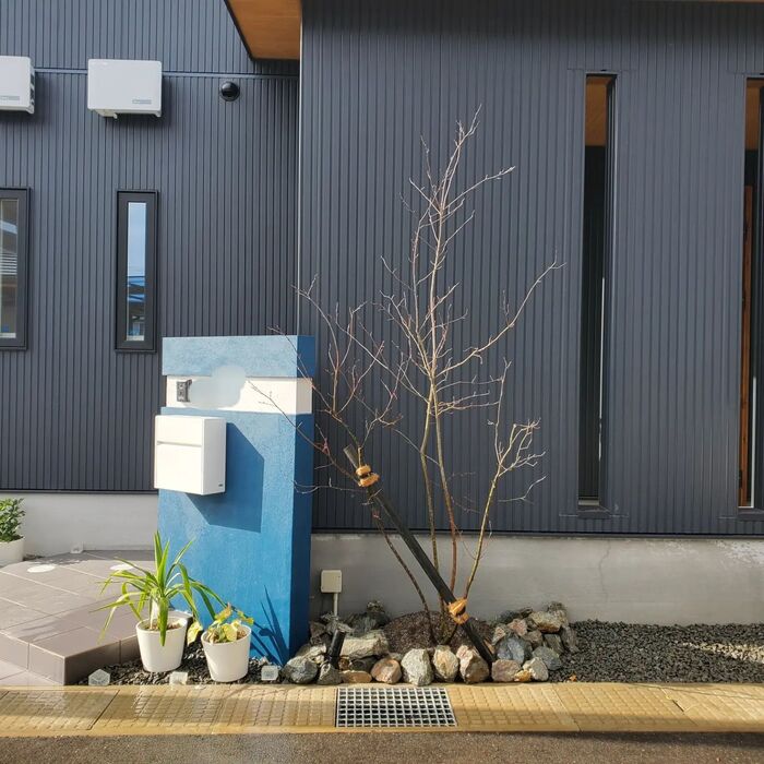 画像950