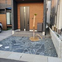 画像962